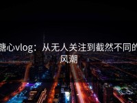 糖心vlog：从无人关注到截然不同的风潮