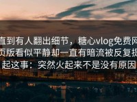 直到有人翻出细节，糖心vlog免费网页版看似平静却一直有暗流被反复提起这事：突然火起来不是没有原因