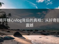 揭开糖心vlog背后的真相：从好奇到震撼