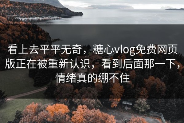 看上去平平无奇，糖心vlog免费网页版正在被重新认识，看到后面那一下，情绪真的绷不住