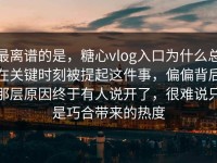 最离谱的是，糖心vlog入口为什么总在关键时刻被提起这件事，偏偏背后那层原因终于有人说开了，很难说只是巧合带来的热度