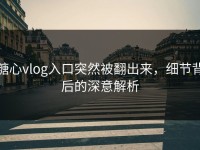 糖心vlog入口突然被翻出来，细节背后的深意解析