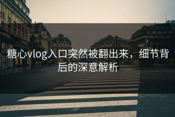 糖心vlog入口突然被翻出来，细节背后的深意解析