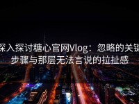 深入探讨糖心官网Vlog：忽略的关键步骤与那层无法言说的拉扯感