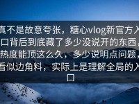 真不是故意夸张，糖心vlog新官方入口背后到底藏了多少没说开的东西，热度能顶这么久，多少说明点问题，看似边角料，实际上是理解全局的入口