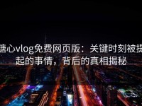 糖心vlog免费网页版：关键时刻被提起的事情，背后的真相揭秘