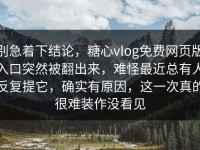 别急着下结论，糖心vlog免费网页版入口突然被翻出来，难怪最近总有人反复提它，确实有原因，这一次真的很难装作没看见