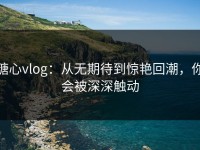 糖心vlog：从无期待到惊艳回潮，你会被深深触动