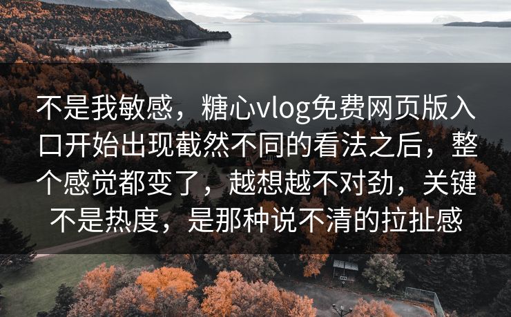 不是我敏感，糖心vlog免费网页版入口开始出现截然不同的看法之后，整个感觉都变了，越想越不对劲，关键不是热度，是那种说不清的拉扯感