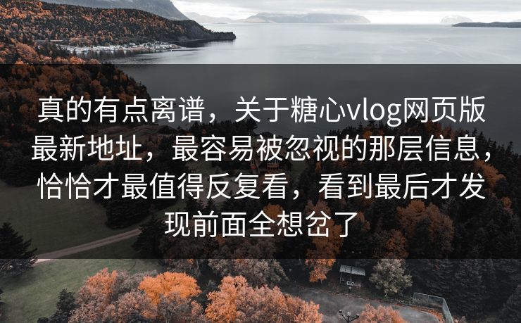 真的有点离谱，关于糖心vlog网页版最新地址，最容易被忽视的那层信息，恰恰才最值得反复看，看到最后才发现前面全想岔了