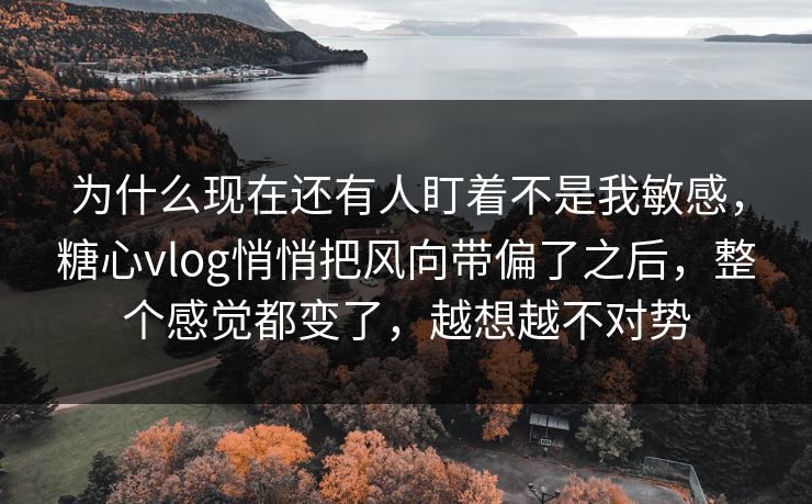 为什么现在还有人盯着不是我敏感，糖心vlog悄悄把风向带偏了之后，整个感觉都变了，越想越不对势