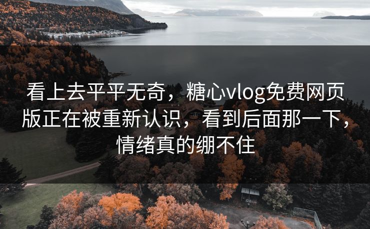 看上去平平无奇，糖心vlog免费网页版正在被重新认识，看到后面那一下，情绪真的绷不住