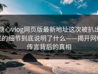 糖心vlog网页版最新地址这次被扒出来的细节到底说明了什么——揭开网络传言背后的真相