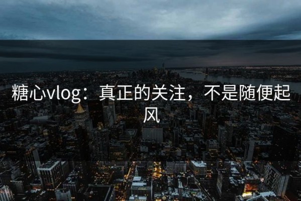 糖心vlog：真正的关注，不是随便起风