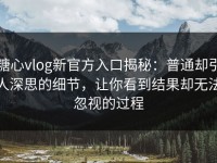 糖心vlog新官方入口揭秘：普通却引人深思的细节，让你看到结果却无法忽视的过程