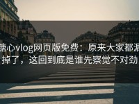 糖心vlog网页版免费：原来大家都漏掉了，这回到底是谁先察觉不对劲