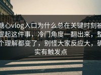 糖心vlog入口为什么总在关键时刻被提起这件事，冷门角度一翻出来，整个理解都变了，别怪大家反应大，确实有触发点