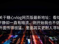 关于糖心vlog网页版最新地址：看似平静却一直有暗流，刚开始我也不信，外面传得很猛，里面其实更耐人寻味