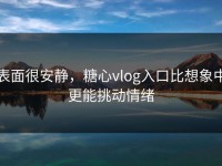 表面很安静，糖心vlog入口比想象中更能挑动情绪