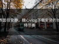 表面很安静，糖心vlog下载安装的独特节奏
