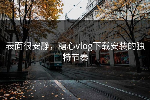 表面很安静，糖心vlog下载安装的独特节奏