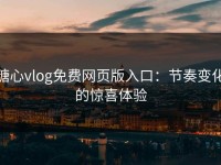糖心vlog免费网页版入口：节奏变化的惊喜体验