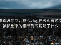 谁都没想到，糖心vlog在线观看这次被扒出来的细节到底说明了什么