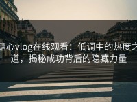 糖心vlog在线观看：低调中的热度之道，揭秘成功背后的隐藏力量