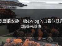表面很安静，糖心Vlog入口看似低调却越来越热
