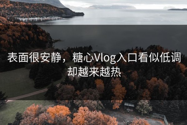 表面很安静，糖心Vlog入口看似低调却越来越热