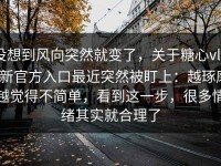 没想到风向突然就变了，关于糖心vlog新官方入口最近突然被盯上：越琢磨越觉得不简单，看到这一步，很多情绪其实就合理了