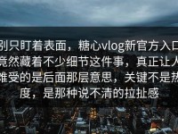 别只盯着表面，糖心vlog新官方入口竟然藏着不少细节这件事，真正让人难受的是后面那层意思，关键不是热度，是那种说不清的拉扯感