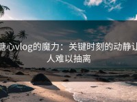 糖心vlog的魔力：关键时刻的动静让人难以抽离