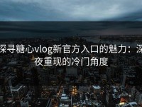 探寻糖心vlog新官方入口的魅力：深夜重现的冷门角度