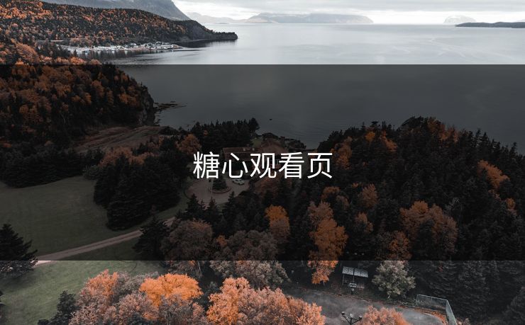 糖心观看页 糖心观看页