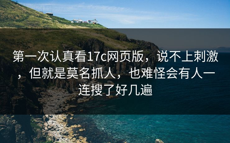 第一次认真看17c网页版，说不上刺激，但就是莫名抓人，也难怪会有人一连搜了好几遍