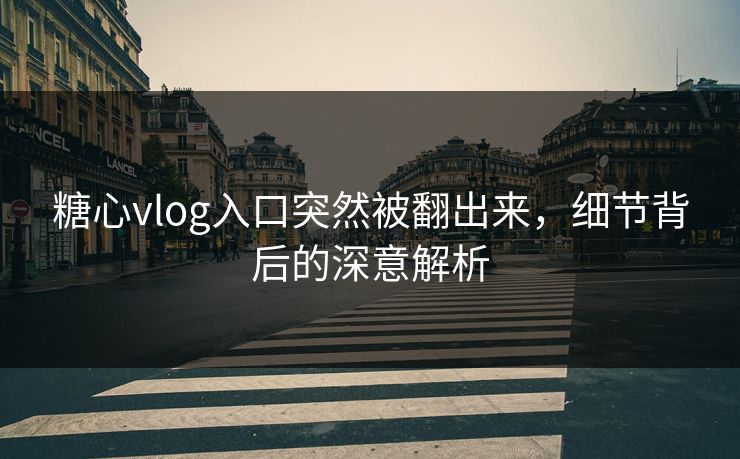 糖心vlog入口突然被翻出来，细节背后的深意解析