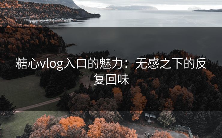 糖心vlog入口的魅力：无感之下的反复回味