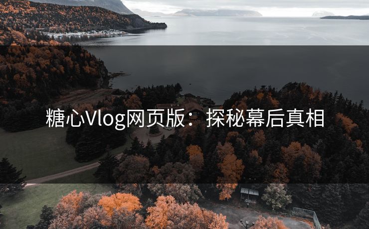 糖心Vlog网页版：探秘幕后真相