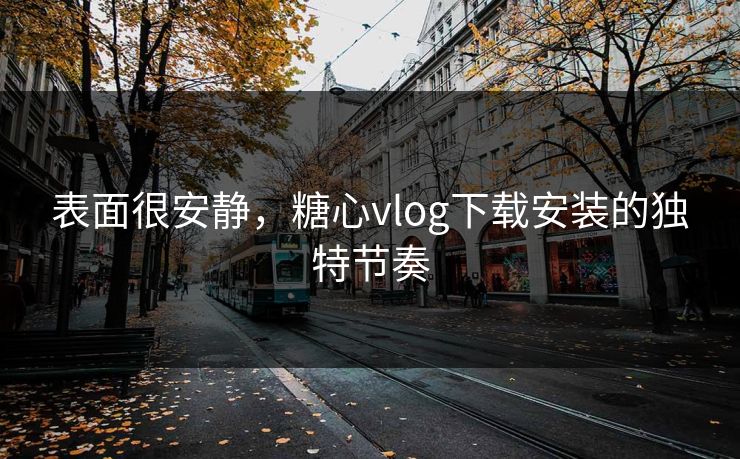 表面很安静,糖心vlog下载安装的独特节奏 表面很安静,糖心vlog下载安装的独特节奏