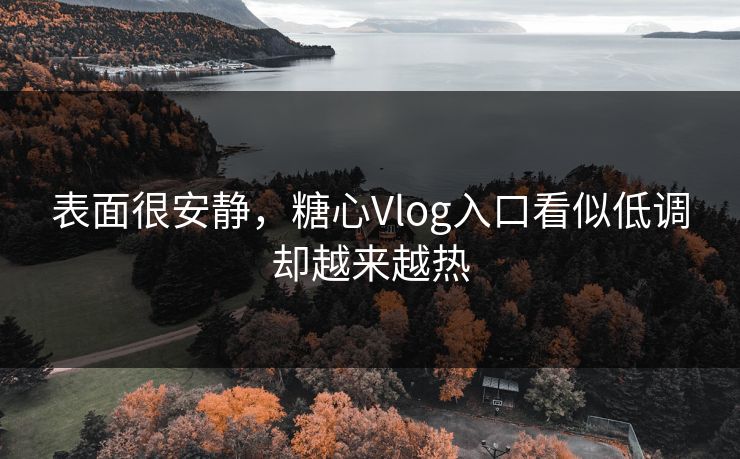 表面很安静，糖心Vlog入口看似低调却越来越热