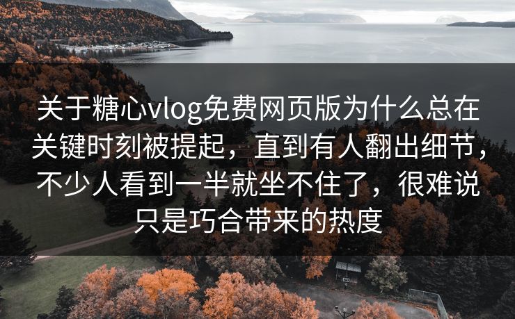 关于糖心vlog免费网页版为什么总在关键时刻被提起，直到有人翻出细节，不少人看到一半就坐不住了，很难说只是巧合带来的热度